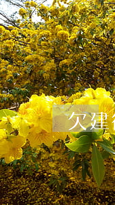 欠建行快貸20萬2年