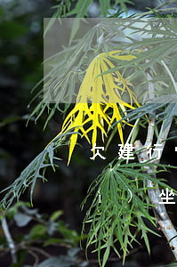 欠建行快貸六萬(wàn)還不起會(huì)坐牢嗎