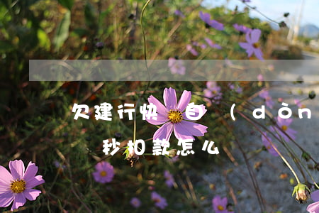 欠建行快貸自動(dòng)扣工資(建行快貸秒扣款怎么辦)