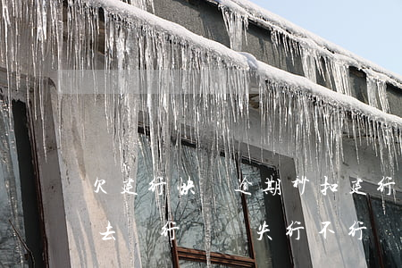 欠建行快貸逾期秒扣(建行快貸逾期秒扣工資,去銀行辦掛失行不行)