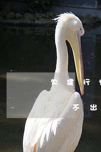 欠建行快貸還不上了(今年建行快貸還了怎么貸不出來(lái)了)