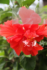 欠建行快貸還不上會扣卡里錢不