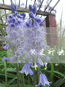 欠建行快贷18000还不上(建行快贷欠一年了)