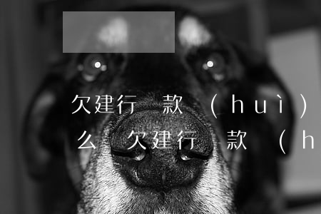 欠建行貸款會(huì)扣信用卡的錢嗎怎么還（欠建行貸款會(huì)扣信用卡的錢嗎）