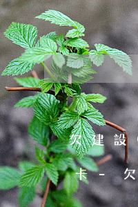 欠建設(shè)信用卡錢能不能辦理儲蓄卡-欠建設(shè)信用卡錢能不能辦理儲蓄卡呢