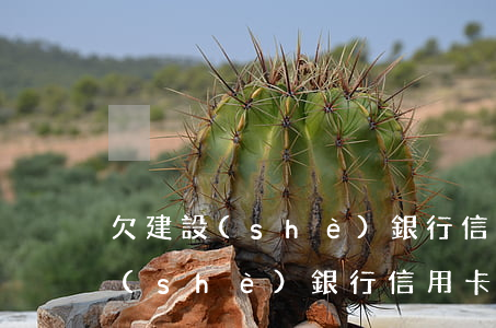 欠建設(shè)銀行信用卡一千-欠建設(shè)銀行信用卡10000錢起訴會(huì)不會(huì)坐牢