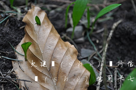 欠建設(shè)銀行信用卡三萬逾期(欠建設(shè)信用卡七萬三年沒還了)