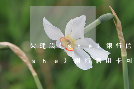 欠建設(shè)銀行信用卡的人(欠建設(shè)銀行信用卡 可以去辦理業(yè)務(wù)嗎)