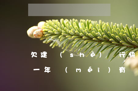 欠建設(shè)銀行快貸4萬(wàn)一年沒(méi)有還-欠建設(shè)銀行快貸4萬(wàn)一年沒(méi)有還會(huì)怎樣