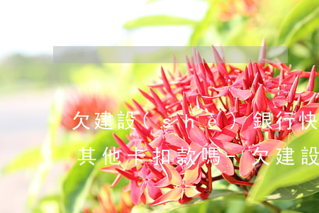 欠建設(shè)銀行快貸會(huì)從其他卡扣款嗎-欠建設(shè)銀行快貸會(huì)從其他卡扣款嗎安全嗎