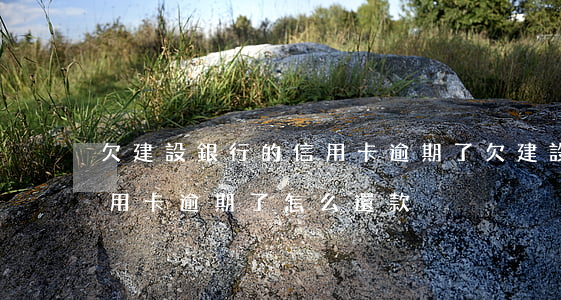 欠建設銀行的信用卡逾期了(欠建設銀行的信用卡逾期了怎么還款)