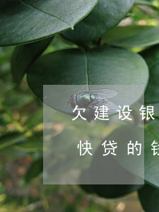 欠建设银行快贷逾期还款会怎样(在建设银行快贷的钱逾期了一年会怎么样)