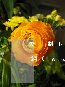 欠強制下款的網(wǎng)貸(強制下款的網(wǎng)貸還了還會強制下款嗎)