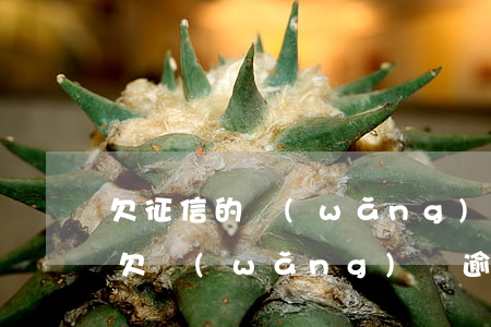 欠征信的網(wǎng)貸逾期多久會起訴(欠網(wǎng)貸逾期會上征信嗎)