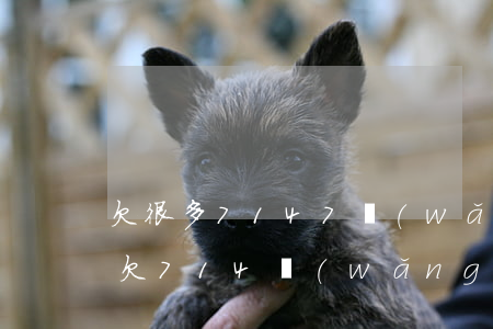 欠很多7147網(wǎng)貸無力償還(欠714網(wǎng)貸要不要還)