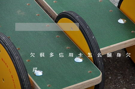 欠很多信用卡怎么翻身 欠很多信用卡怎么上岸