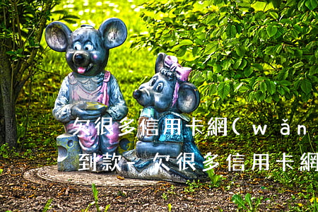 欠很多信用卡網(wǎng)貸怎么才能貸到款-欠很多信用卡網(wǎng)貸怎么才能貸到款呢
