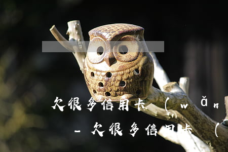 欠很多信用卡網(wǎng)貸還不起怎么辦-欠很多信用卡網(wǎng)貸還不起怎么辦呢