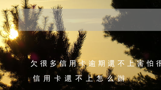 欠很多信用卡逾期還不上害怕很慘-欠很多信用卡還不上怎么辦