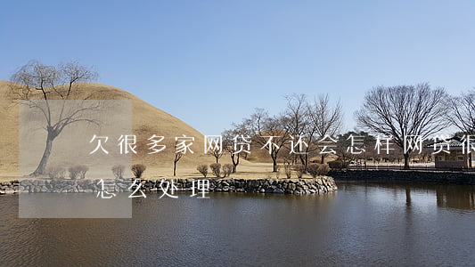 欠很多家网贷不还会怎样(网贷很多家还不了怎么处理)