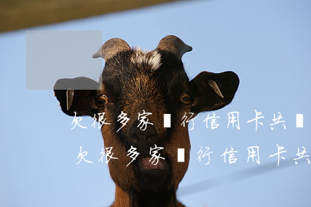 欠很多家銀行信用卡共計(jì)20萬-欠很多家銀行信用卡共計(jì)20萬怎么辦
