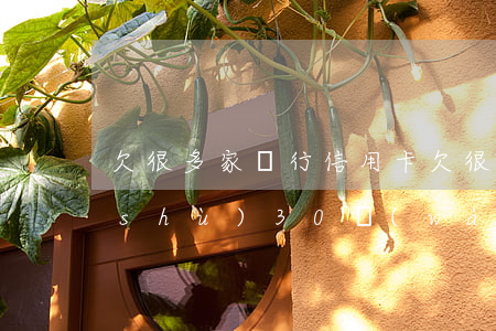 欠很多家銀行信用卡(欠很多銀行信用卡數(shù)30萬(wàn))
