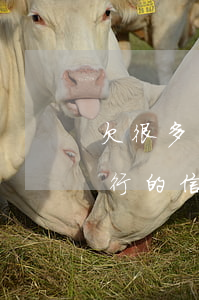 欠很多家銀行的信用卡怎么辦-欠很多家銀行的信用卡怎么辦理
