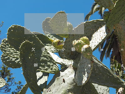 欠很多小額網(wǎng)貸家里不幫怎么辦-欠網(wǎng)貸家里人不幫助怎么辦