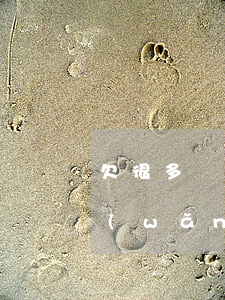 欠很多網(wǎng)貸一年多還不上(欠網(wǎng)貸1年多了會怎么樣)