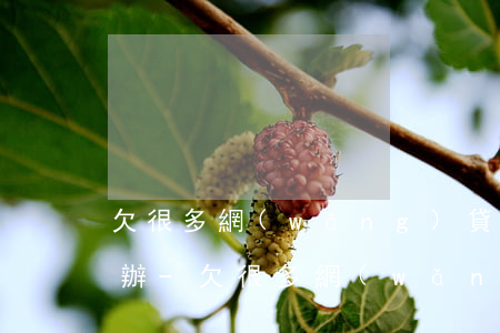 欠很多網(wǎng)貸信用卡逾期了怎么辦-欠很多網(wǎng)貸信用卡逾期了怎么辦呢