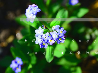 欠很多網(wǎng)貸坦白(多次欠網(wǎng)貸不敢坦白了)