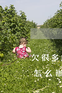 欠很多網(wǎng)貸工資沒發(fā)怎么辦(工資沒發(fā)網(wǎng)貸快逾期了怎么辦)