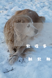 欠很多網(wǎng)貸強(qiáng)制(欠那些網(wǎng)貸會比較嚴(yán)重)