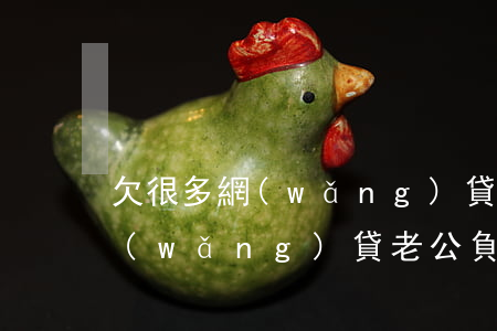 欠很多網(wǎng)貸老公要和我離婚(網(wǎng)貸老公負債太多離婚)
