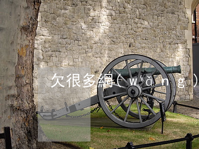欠很多網(wǎng)貸自首