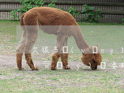欠很多網(wǎng)貸該怎么跟家里說(網(wǎng)貸要跟家里人怎么說)