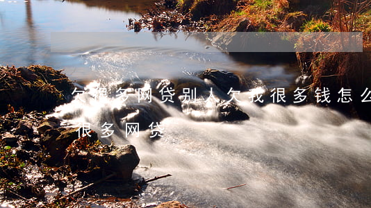 欠很多网贷别人欠我很多钱怎么办-我欠了很多网贷