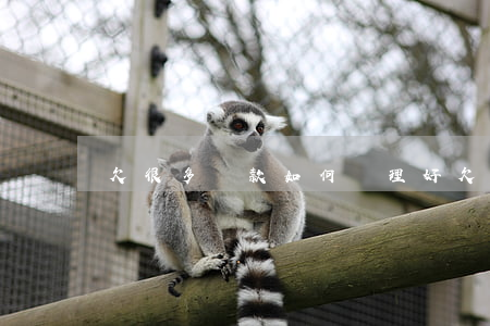 欠很多貸款如何處理好（欠很多貸款如何處理）