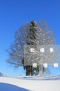 欠很多銀行信用卡數(shù)30萬（90后信用卡欠30萬）