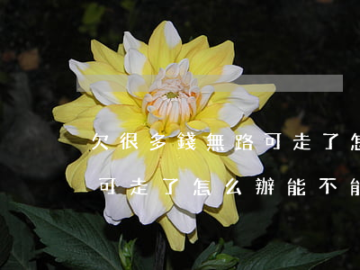 欠很多錢無路可走了怎么辦-欠很多錢無路可走了怎么辦,能不能換手機
