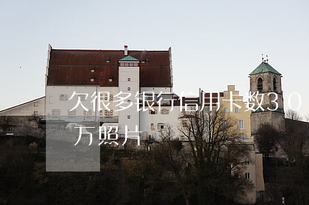 欠很多银行信用卡数30万（信用卡欠30多万照片）