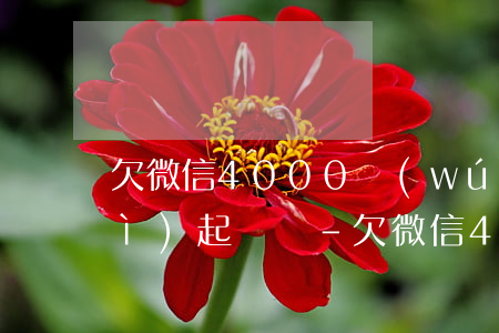 欠微信4000無(wú)力償還會(huì)起訴嗎-欠微信4000無(wú)力償還會(huì)起訴嗎知乎