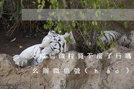 欠微信微粒貸不還了行嗎(欠微粒貸還不上怎么辦微信號(hào)還能用嗎?)