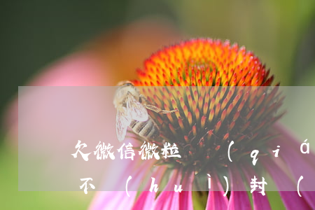 欠微信微粒貸錢(qián)會(huì)不會(huì)封號(hào)(微粒貸逾期微信會(huì)封號(hào)嗎)