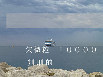欠微粒貸10000會判刑嗎(有欠微粒貸被判刑的嗎)