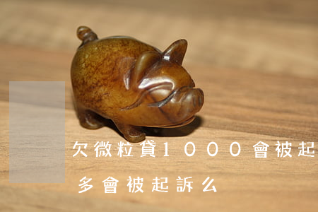 欠微粒貸1000會被起訴么(微粒貸欠一萬多會被起訴么)