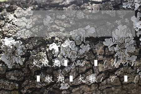 欠微粒貸10萬(wàn)會(huì)怎樣(微粒貸欠款10萬(wàn)不還的后果)