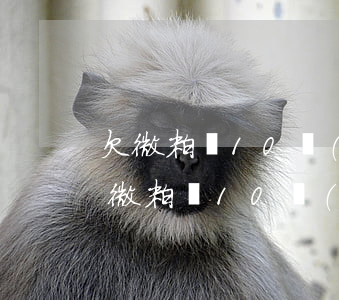 欠微粒貸10萬(wàn)還不上怎么辦(欠微粒貸10萬(wàn)還不上怎么辦)