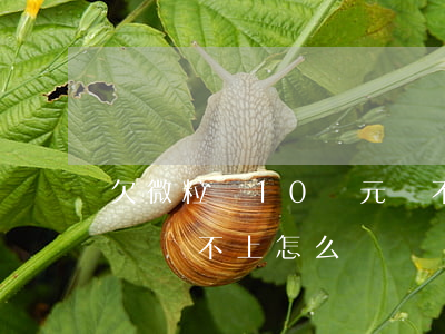 欠微粒貸10萬元還不上怎么辦(微粒貸十幾萬還不上怎么辦)