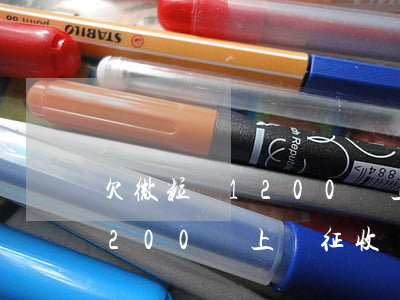 欠微粒貸1200會上門征收嗎(欠微粒貸1200會上門征收嗎)